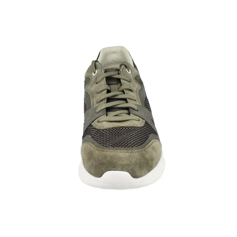Geox U MONREALE B OLIVE