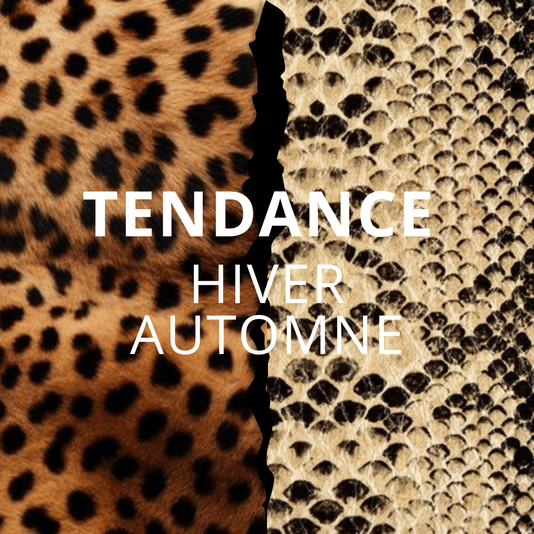 Les chaussures Animal Print s’invitent chez Magenta Chaussures - Magenta Chaussures