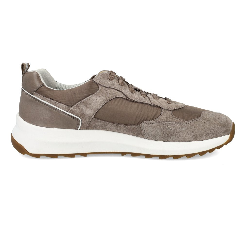 Geox U TITANIO A BEIGE - Magenta Chaussures